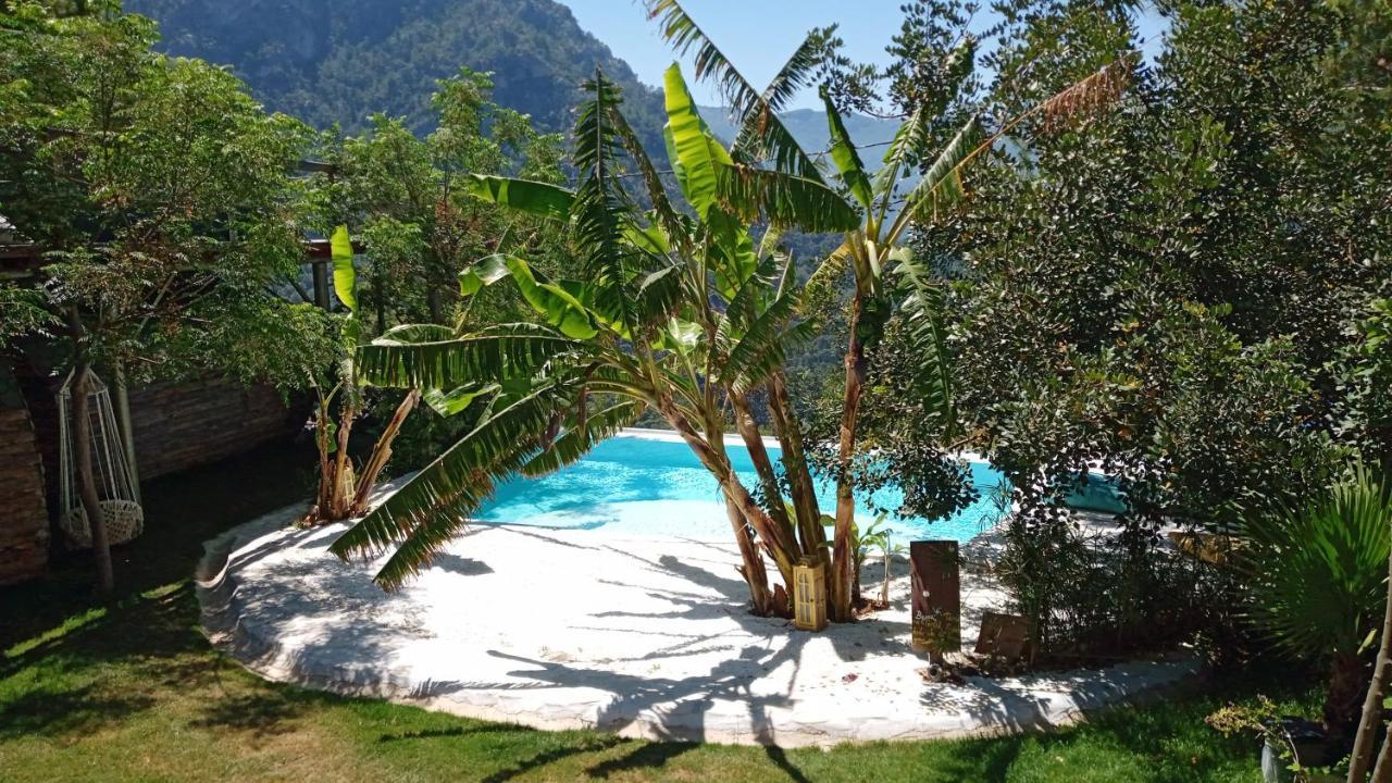 Mandala Camping Campsite *