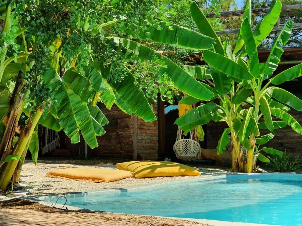 Mandala Camping Faralya
