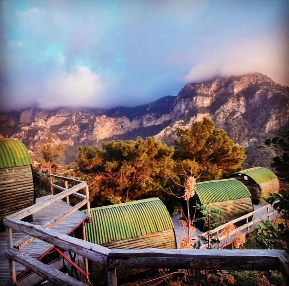 Mandala Camping